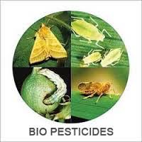 biopesticides and insecticides